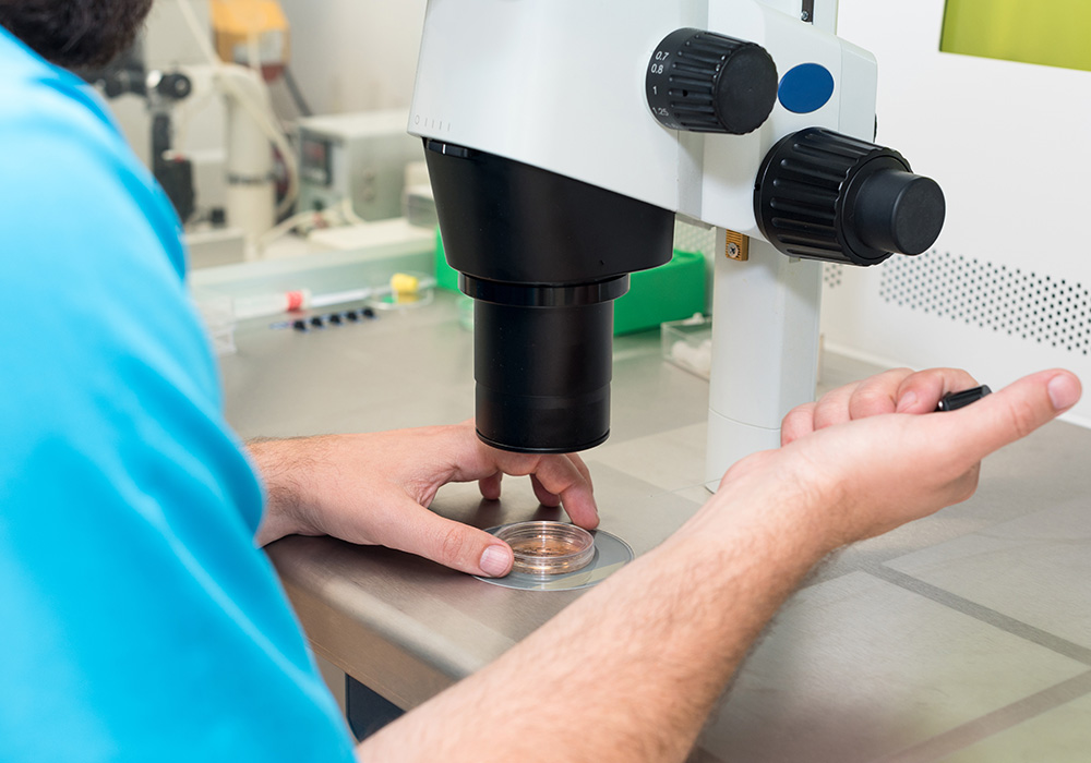 Fetal-laboratory-Img